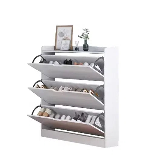 Modern Shoe Cabinet